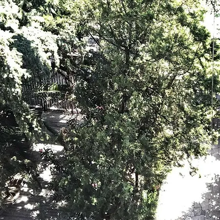 Appartement The Queen