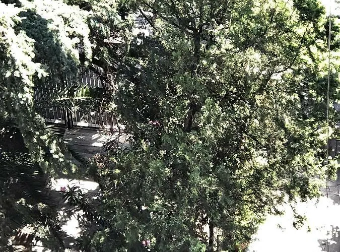 Apartament The Queen